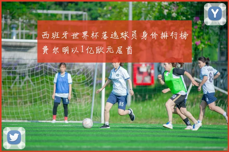 西班牙世界杯落选球员身价排行榜费尔明以1亿欧元居首