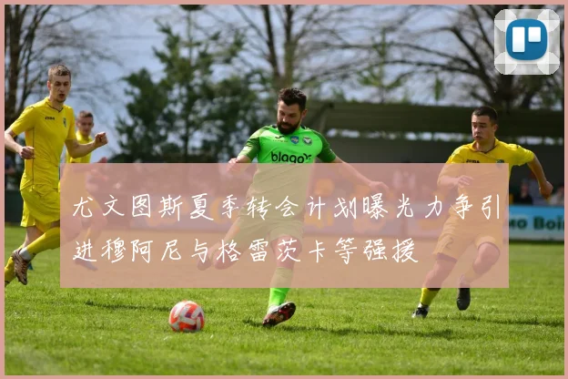 尤文图斯夏季转会计划曝光力争引进穆阿尼与格雷茨卡等强援