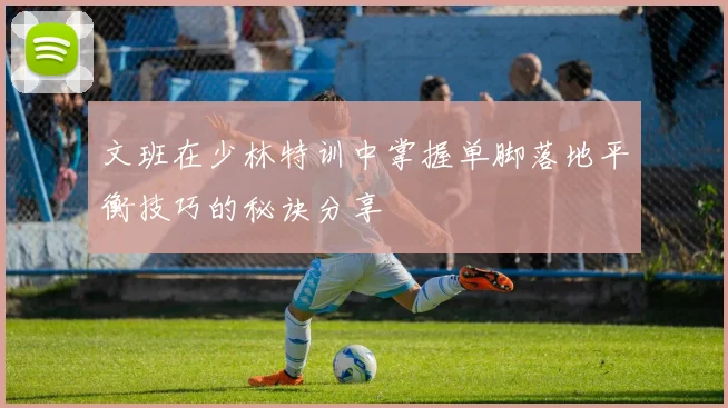 文班在少林特训中掌握单脚落地平衡技巧的秘诀分享