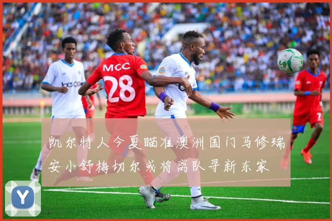 凯尔特人今夏瞄准澳洲国门马修瑞安小舒梅切尔或将离队寻新东家